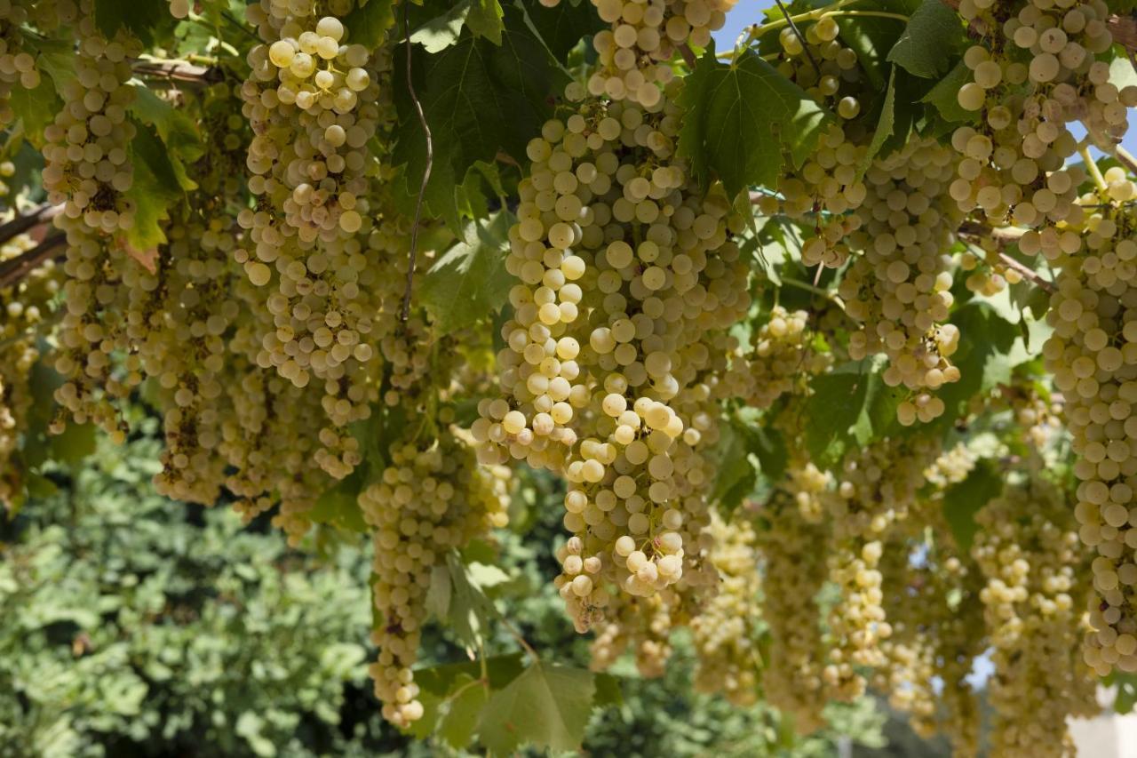 Masseria Lilei Lizzanello Екстериор снимка